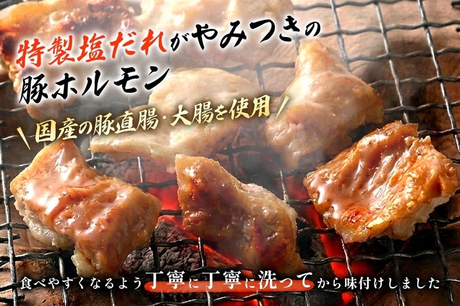 エーコープみやざき やみつき大束塩ホルモン