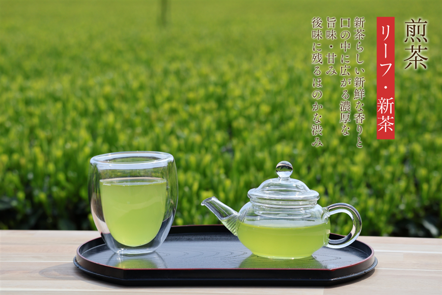 新茶 茶師の本懐 煎茶: JAみやざき Tege Mahalo|【JAタウン】産地