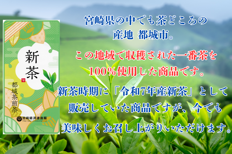 新茶みやざき茶 100g×10本