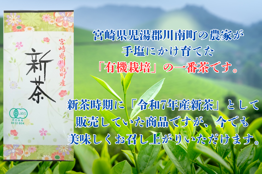 【アウトレット】一番茶有機栽培茶 12本セット