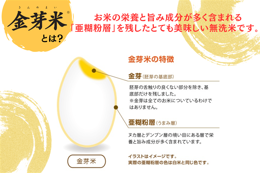【専用計量カップ1個つき!】金芽米〜宮崎県産 無洗米ひのひかり〜 5kg×1袋