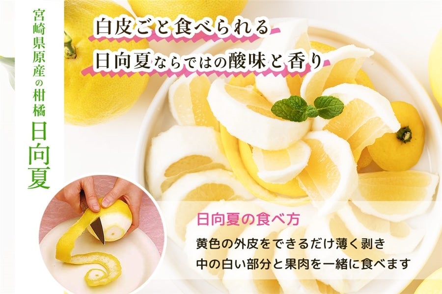 【クール便】宮崎県産 日向夏 小説「薬屋のひとりごと」コラボパッケージ