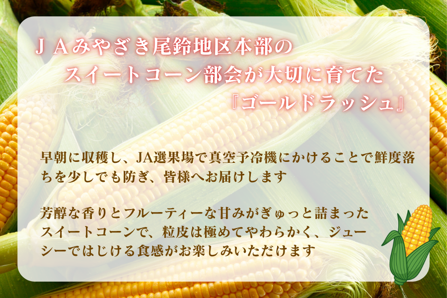 おすず村 厳選詰め合わせセット