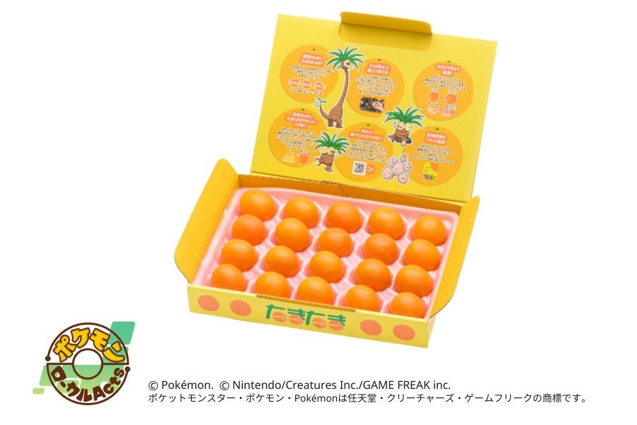 【宮崎県産】完熟きんかん「たまたま」20玉入り化粧箱ナッシーVer.