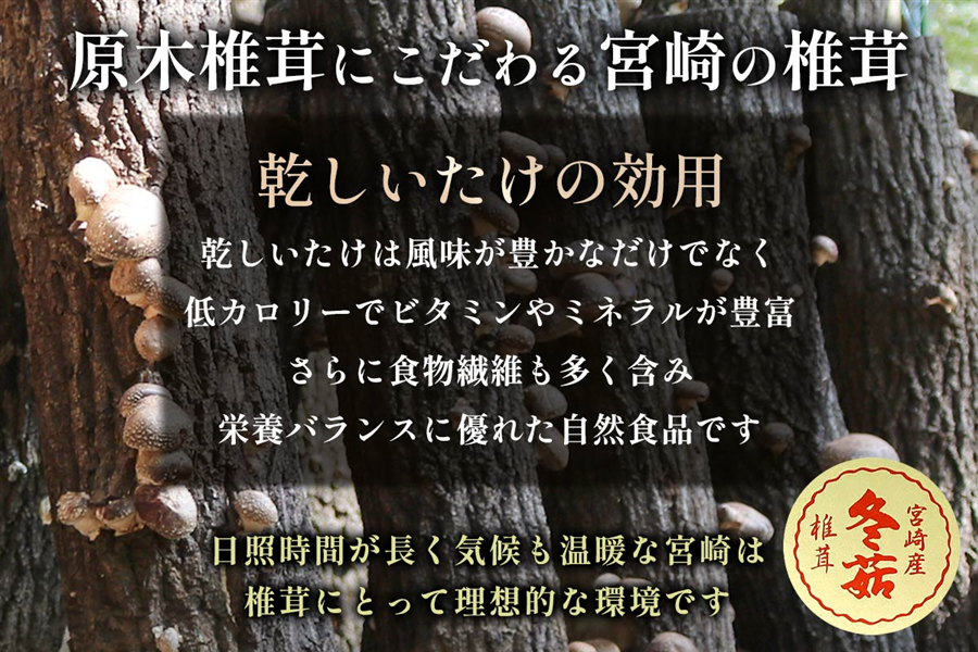 椎茸ギフト どんこ椎茸 90g