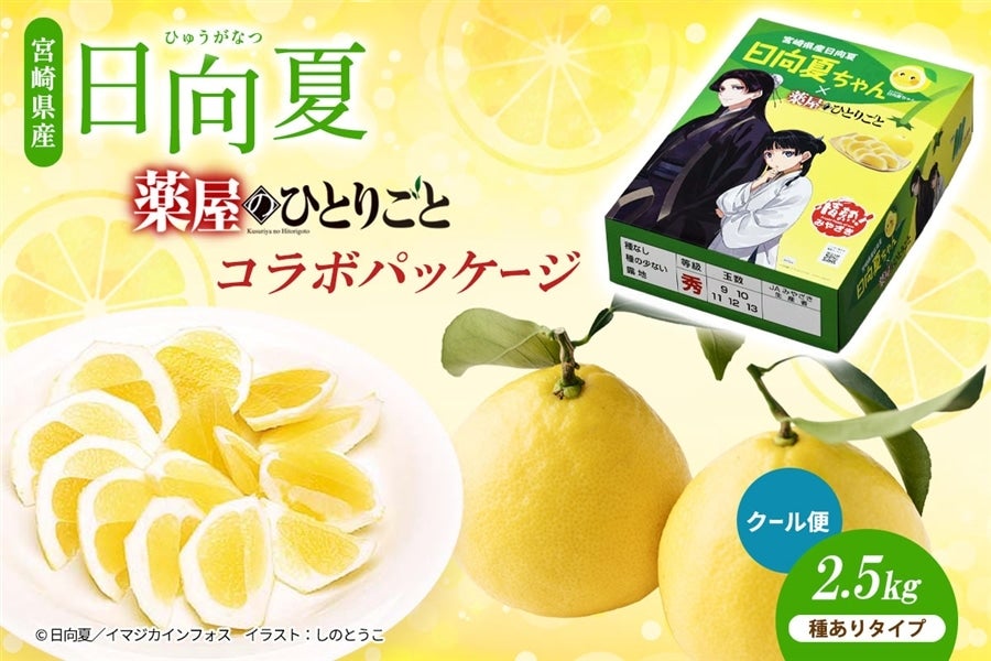 【クール便】宮崎県産 日向夏 小説「薬屋のひとりごと」コラボパッケージ