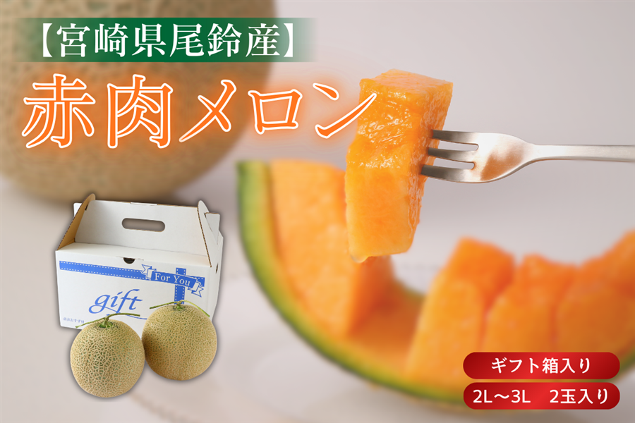赤肉メロン(2玉入): JAみやざき Tege Mahalo|【JAタウン】産地直送