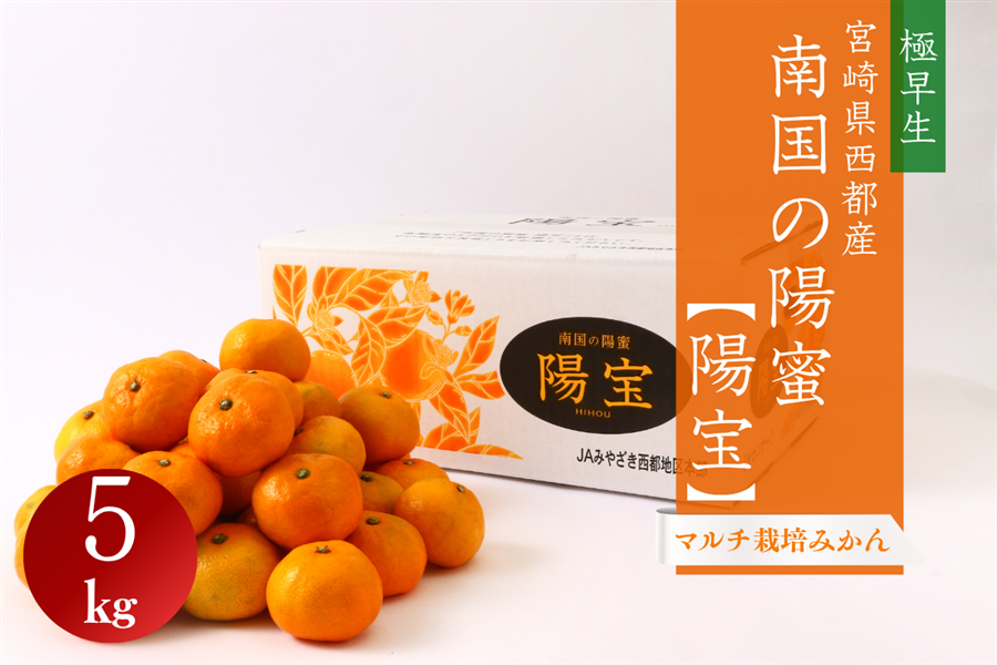 秋のJAタウンまつり】宮崎県西都産 南国の陽蜜【陽宝】 5㎏: JA