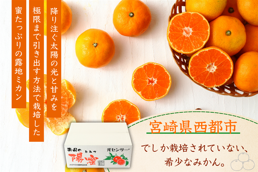 宮崎県西都市産 南国の陽蜜 5㎏: JAみやざき Tege Mahalo|【JAタウン