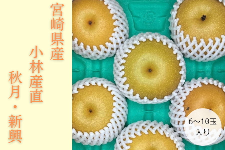 {茧Y@6`10ʁi3kgj