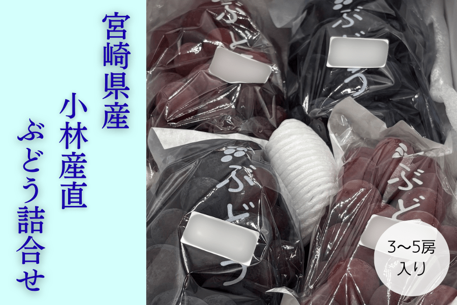 {茧YԂǂlߍ킹@3`5[I