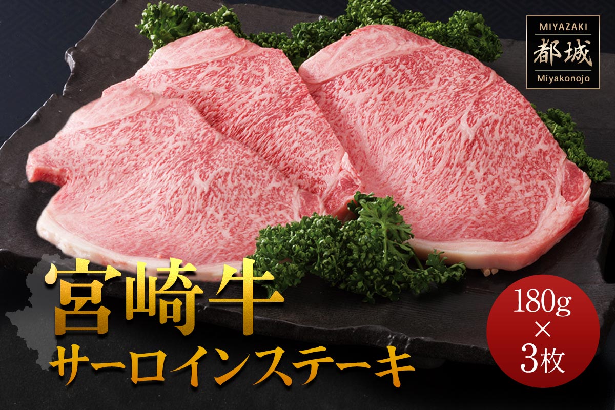 {苍 T[CXe[L