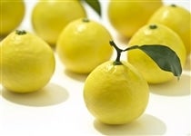 �{��Y�����ā@2.5kg���ϔ�