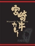 yƒpɂ߁Iz {苍J[180×30