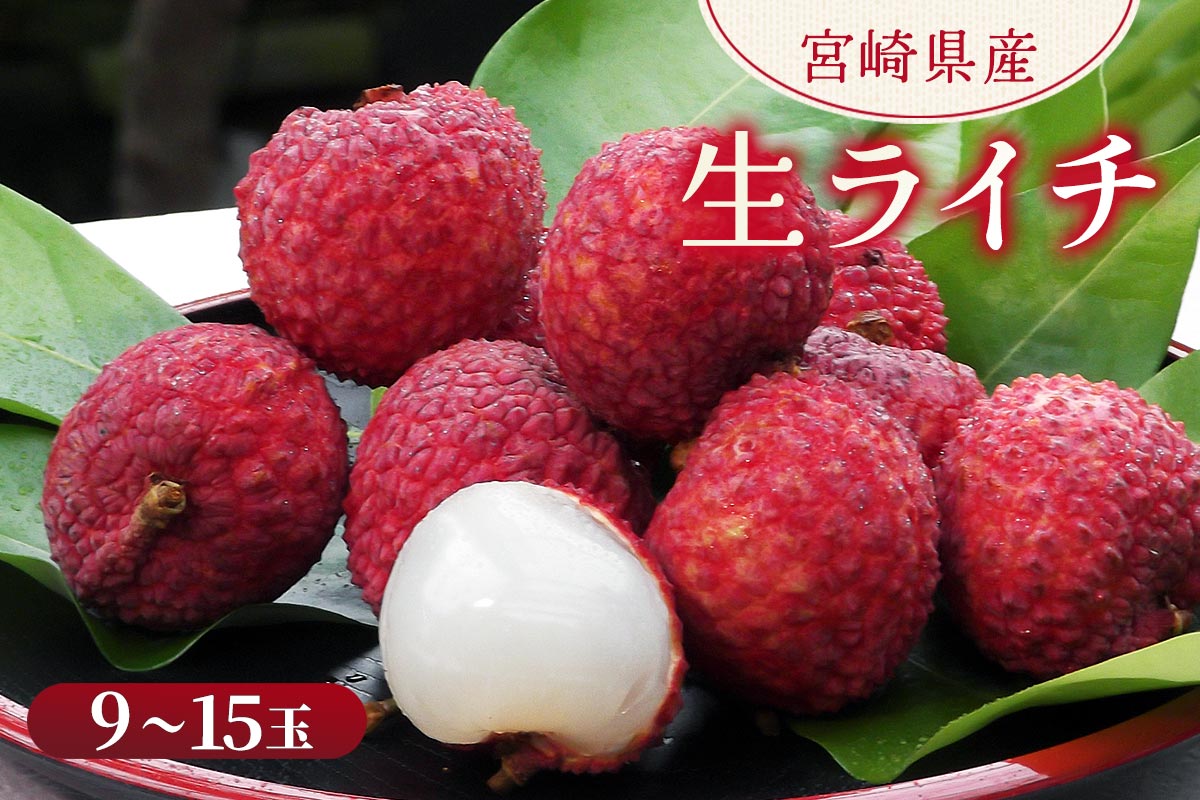 {茧Y C`iX`15ʁj