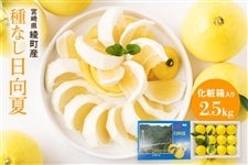 ��Ȃ������� 2.5kg ���ϔ�����