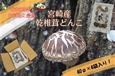 yNNn̂Ɂz{Yǂ񂱒ő40g×4ܓ