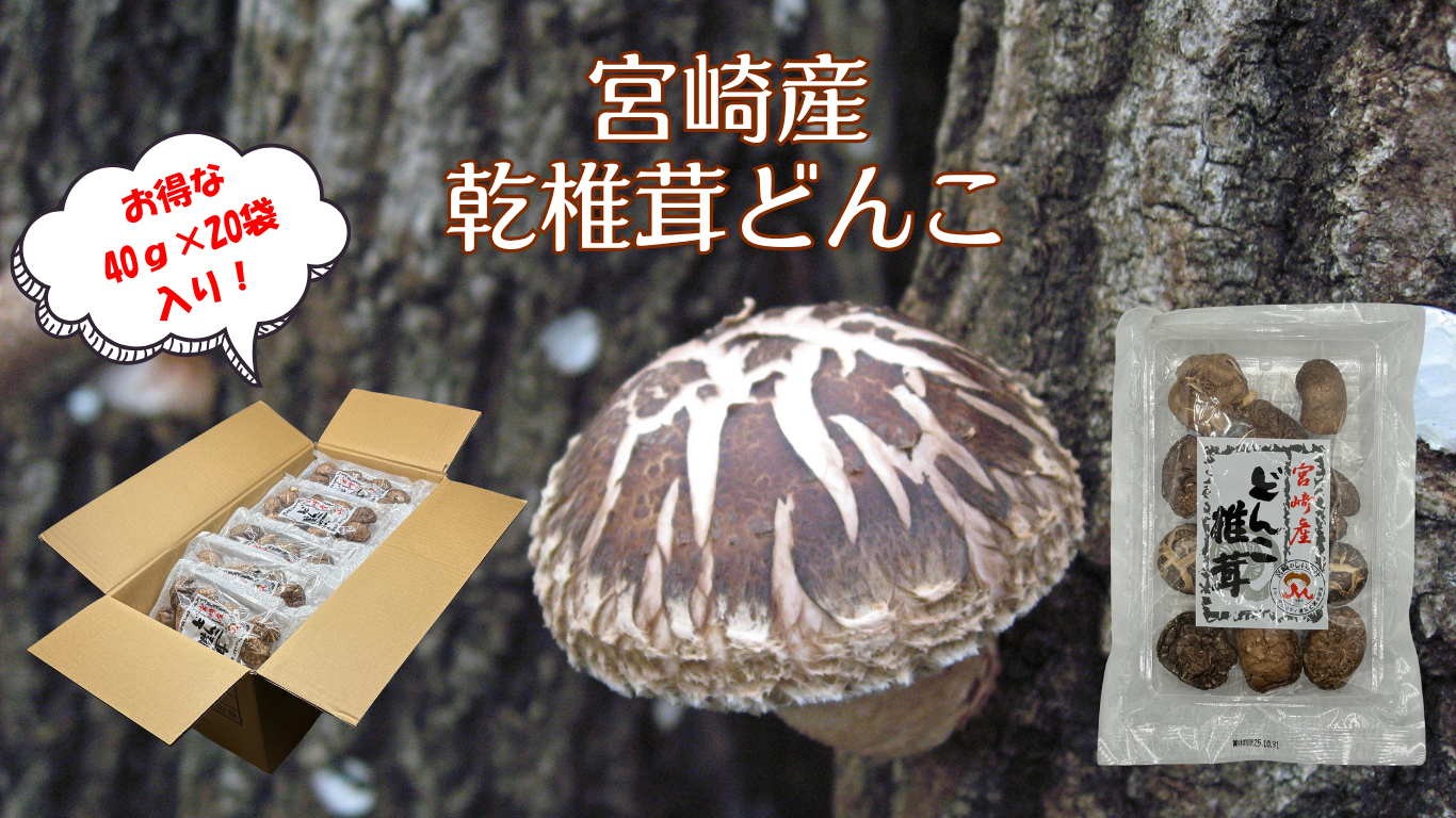 y{Yzǂ񂱁SIʌI