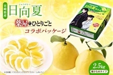 {茧Y  u򉮂̂ЂƂ育ƁvR{pbP[W 2.5kgi폭Ȃ߃^Cvj