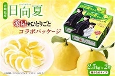 �{�茧�Y ������ �����u�򉮂̂ЂƂ育�Ɓv�R���{�p�b�P�[�W 2.5kg×2�i�킠��^�C�v�j