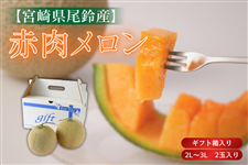 赤肉メロン(2玉入): JAみやざき Tege Mahalo|【JAタウン】産地直送