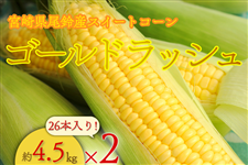 �y2�����z�{�茧�Y����Y�X�C�[�g�R�[���@�w�S�[���h���b�V���x