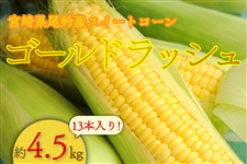 �{�茧�Y����Y�X�C�[�g�R�[���@�w�S�[���h���b�V���x