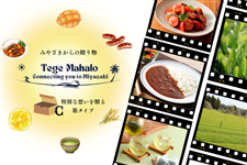 �y�I�ׂ�J�^���O�M�t�g�zTege MahaloC(���ϔ����j