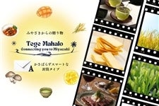 �y�I�ׂ�J�^���O�M�t�g�zTege MahaloA(�����^�C�v)