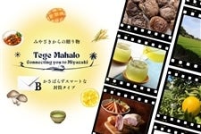  �y�I�ׂ�J�^���O�M�t�g�zTege MahaloB(�����^�C�v)