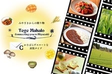 �y�I�ׂ�J�^���O�M�t�g�zTege MahaloC(�����^�C�v)