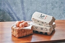 ���N�v�{�{��@�N��30����