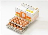 ���{�{��@�����p30��