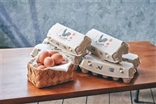 ���N�v�{�{��@�N��60����