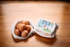 ���N�v�{�{��@�N���̗��̕���������30����