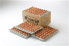 ���{�{��@�V���~�� L�T�C�Y 10�s