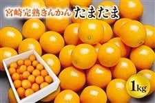 �{��Y���n���񂩂�y���܂��܁z�Pkg��