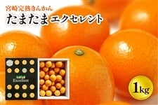 �{�芮�n���񂩂�y���܂��܃G�N�Z�����g�z1kg