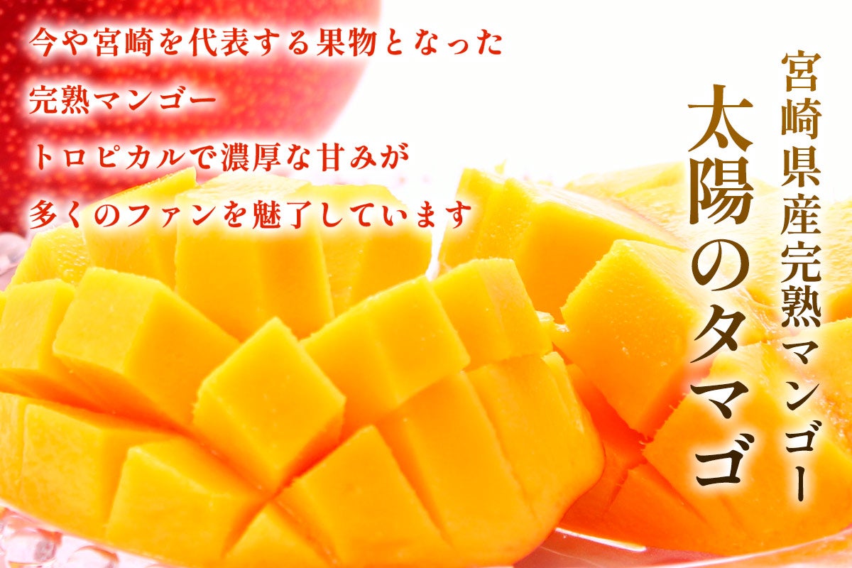 みやざき完熟マンゴー 太陽のタマゴ 3L×2玉 化粧箱入
