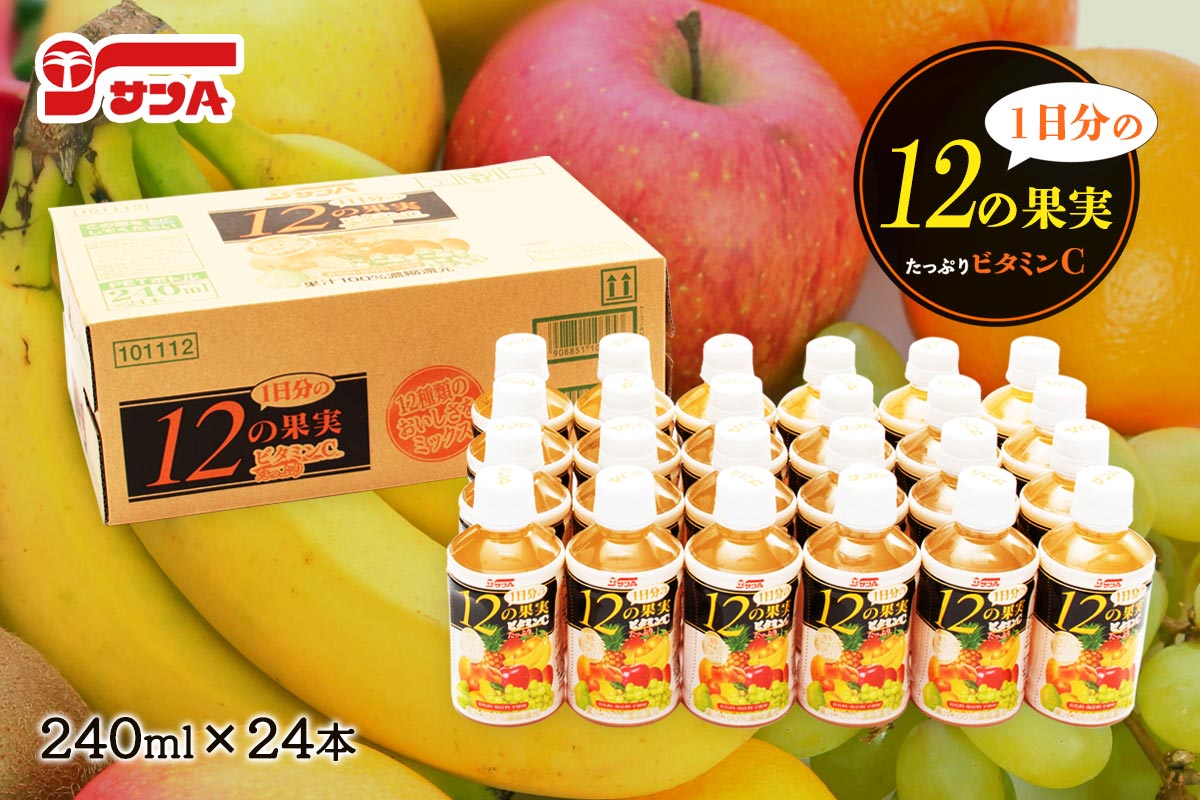 サンA 新1日分の12の果実 240mlPET×24本