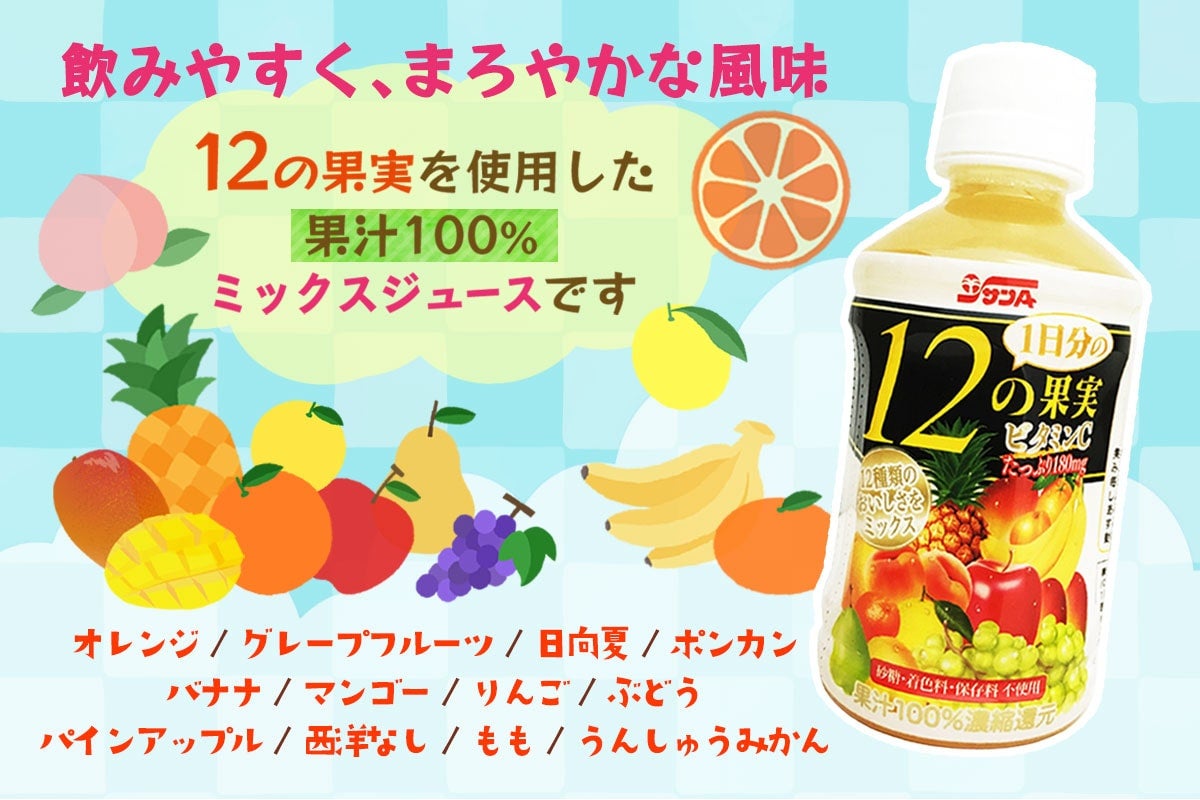 サンA 新1日分の12の果実 240mlPET×24本