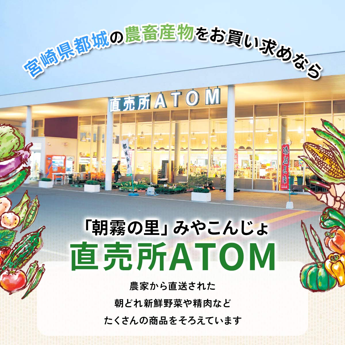 ̗ ݂₱񂶂  ATOM
