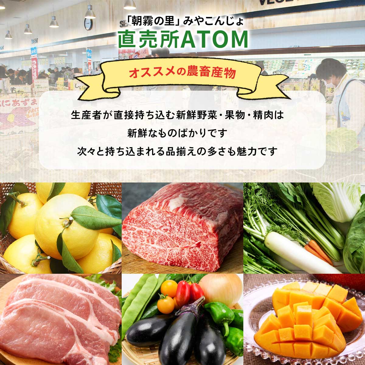 ̗ ݂₱񂶂  ATOM