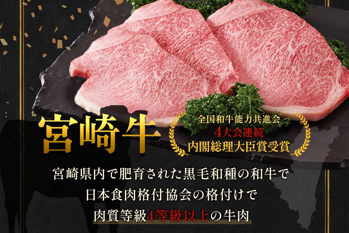 {苍 T[CXe[L