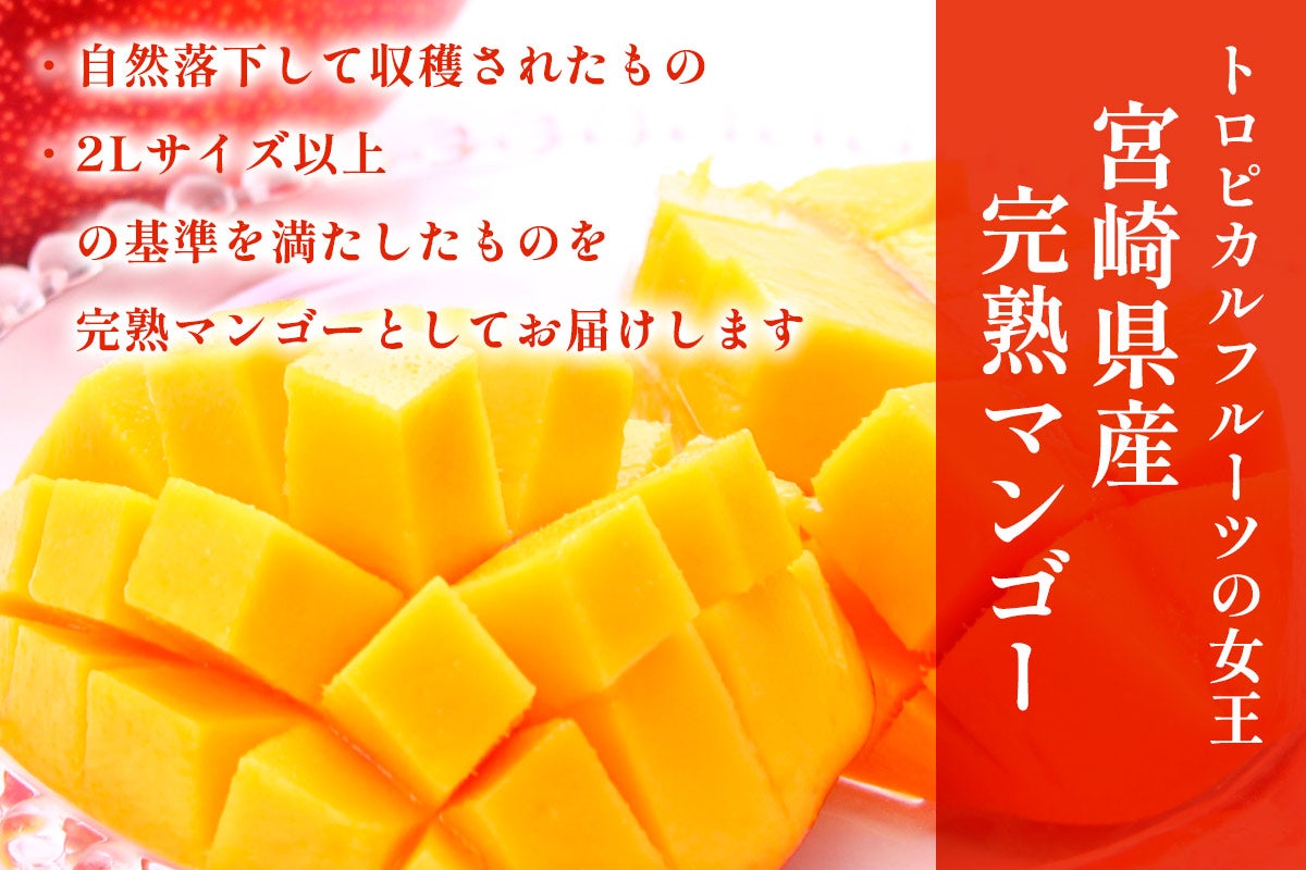 みやざき完熟マンゴー 2L〜3L 1玉×2パック 段ボール箱入り