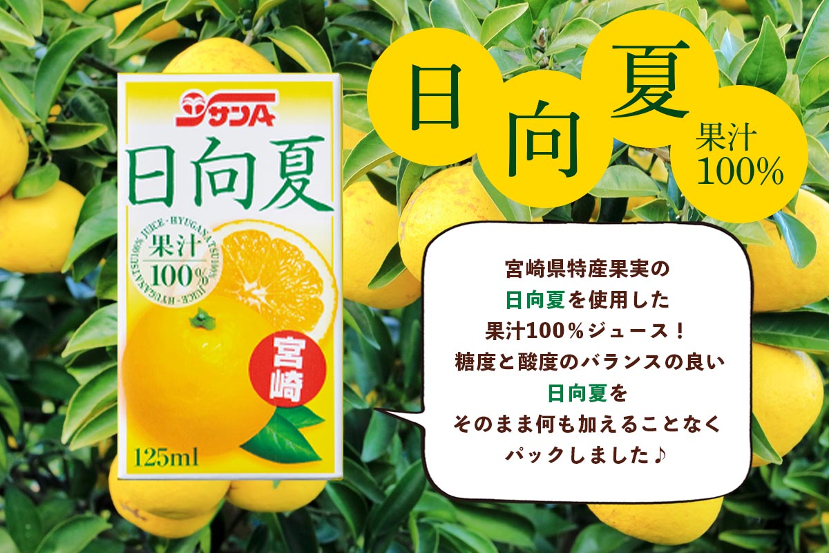 サンA 日向夏ジュース100% 125ml紙×12本