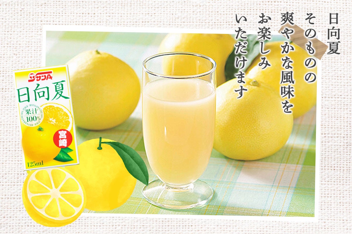 サンA 日向夏ジュース100% 125ml紙×12本