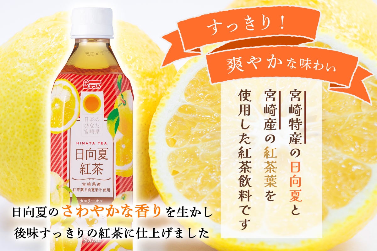 サンA 日向夏紅茶HINATA TEA 500mlPET×24本