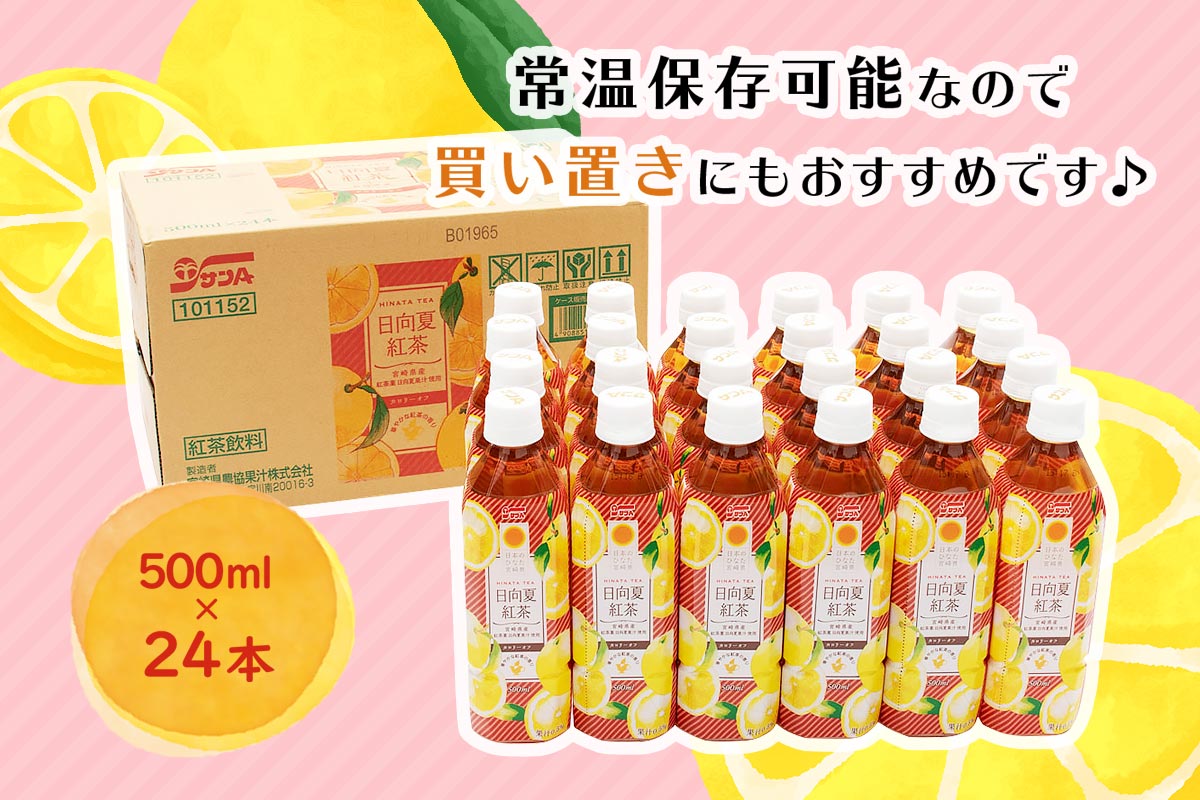 サンA 日向夏紅茶HINATA TEA 500mlPET×24本