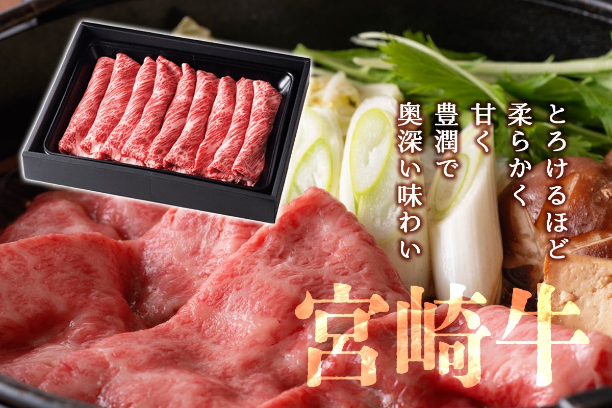 宮崎牛 肩ローススライス 500g